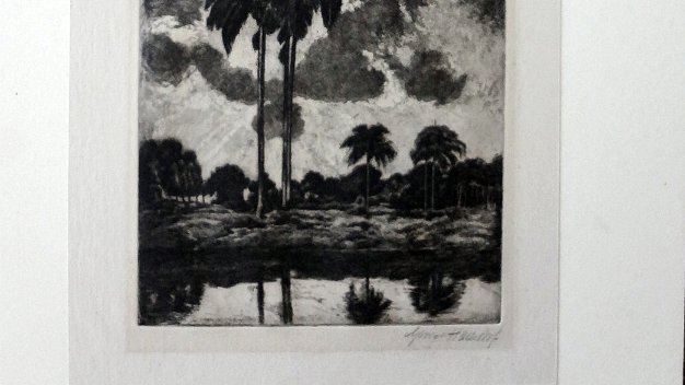 Palmas Original etching with a rural landscape in the Caribbean islands with palm trees in a day with a cloudy sky. Dimension...
