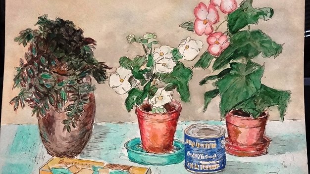 Macetas - Pots Interesting and beautiful still life watercolor on paper with potted plants and caned foodstuff. The paper dimension is...