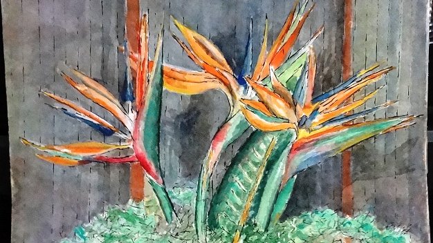 Planta - Plant Excellent watercolor on paper depicting a local plant from the countryside in the Dominican Republic. The paper...