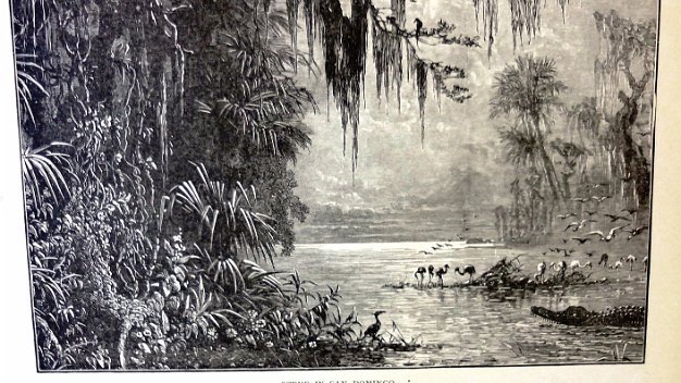 San Domingo In english Original print with a tropical forest, a river and several animals with the title 